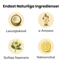 Ökologische Spülmaschinenblätter